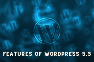 Features of WordPress 5.5