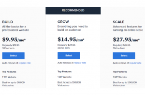 Managed WordPress Plans- Bluehost Review