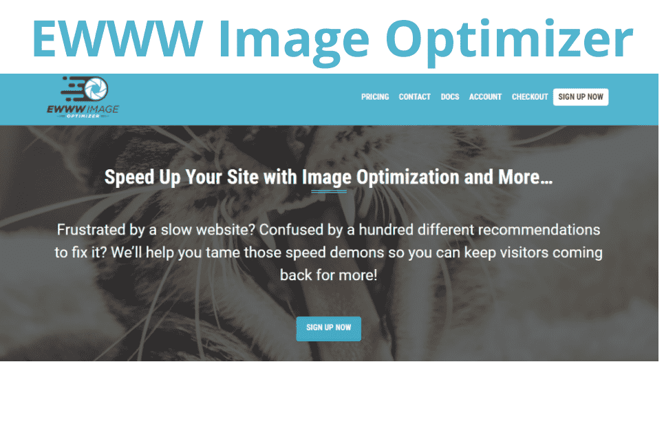 EWWW Image Optimizer Review- Best WP Smush Alternative