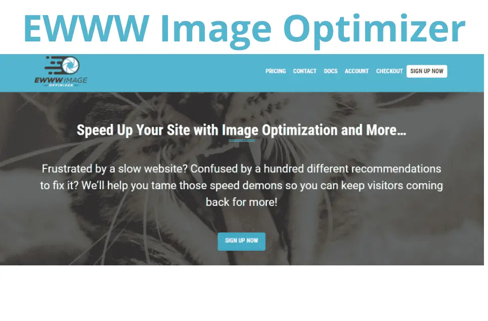 EWWW Image Optimizer Review- Best WP Smush Alternative